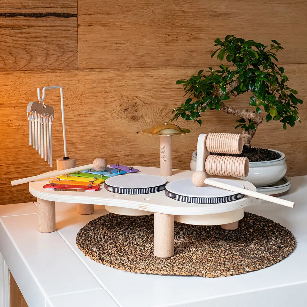 Toddler music learning toy that promotes focus, coordination and creativity